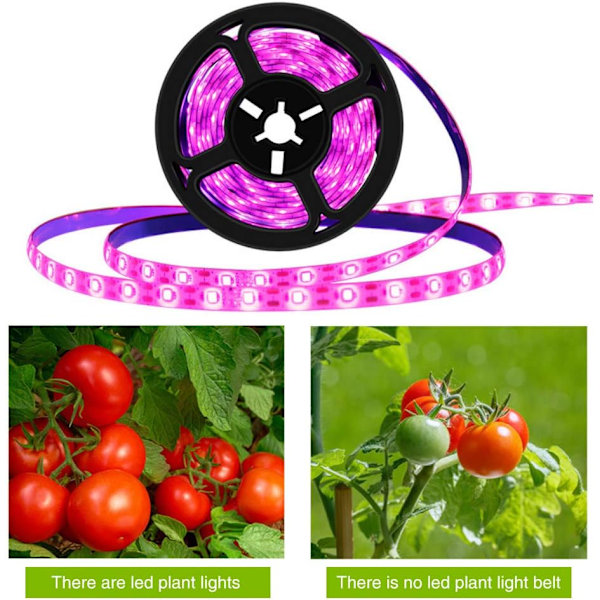 LED-växtbelysningsremsor Vattentät Full Spectrum Inomhusväxter Suckulenter Hydroponics Växthus Trädgårdsbelysning USB(3M)
