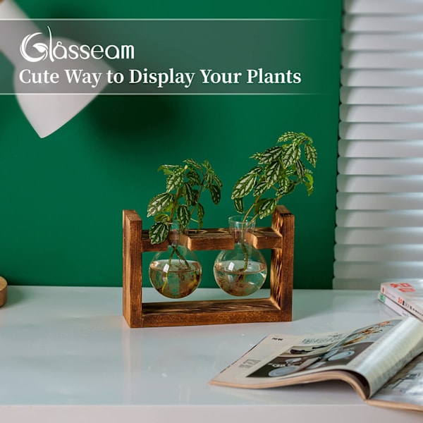 Pakke med 2 lyspære avocado vase glas agern vase til blomster terrarium krukke planter med træhylde stand holder til grønne vandplanter fit two bottles