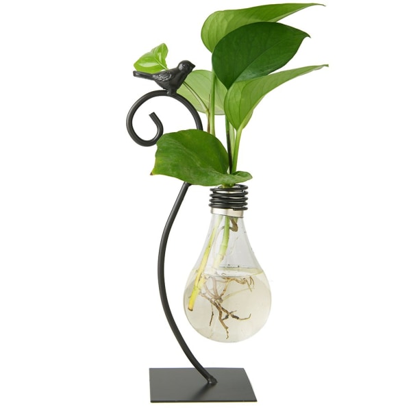 Skrivbordsdekoration i glas, hydroponisk vas, katthållare för växtterrarium, Scindapsus-behållare