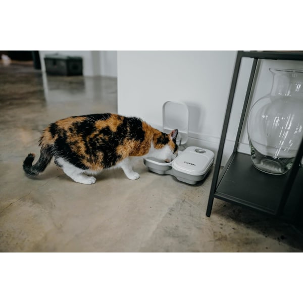 2st automatisk husdjursmatare med timer och ispaket för katter och små hundar, för användning med våt- och torrfoder - vit