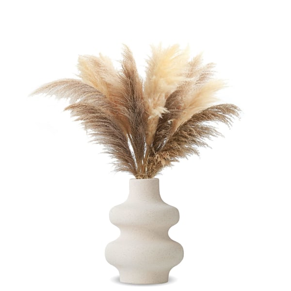Vas för Pampas Grass White, Modern Keramik Dekorativ Vas för torkade blommor, Donut Spiral Blomstervas Rund Vas med hål B