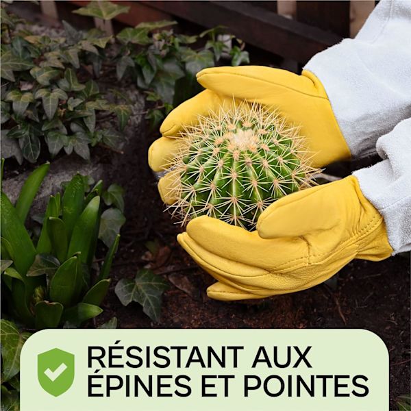Havearbejde Handsker med Underarmsbeskyttelse - Torn Resistent-M M