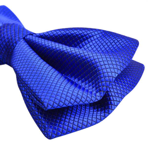 Herr Solid Färg Fluga Polyester Förknuten Bröllop Fluga Blue