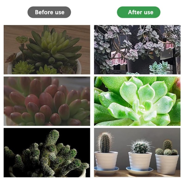 1 stk. Liten LED-vekstlys for innendørs planter Full Spectrum Mini skrivebordslampe med base Høydejusterbar med timer Dimming