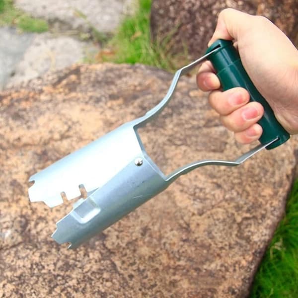 Haveplanteomplanter - Løglægger - Havefrøplanteomplanter