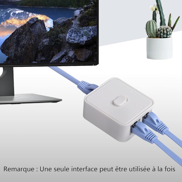Nätverks-LAN-switch 2 portar, RJ45-nätverksnyckeltryckbrytare Splitter Selector Box, 100M 2 in 1 Out eller 1 in 2 Out, 2 portars nätverkshubb svart