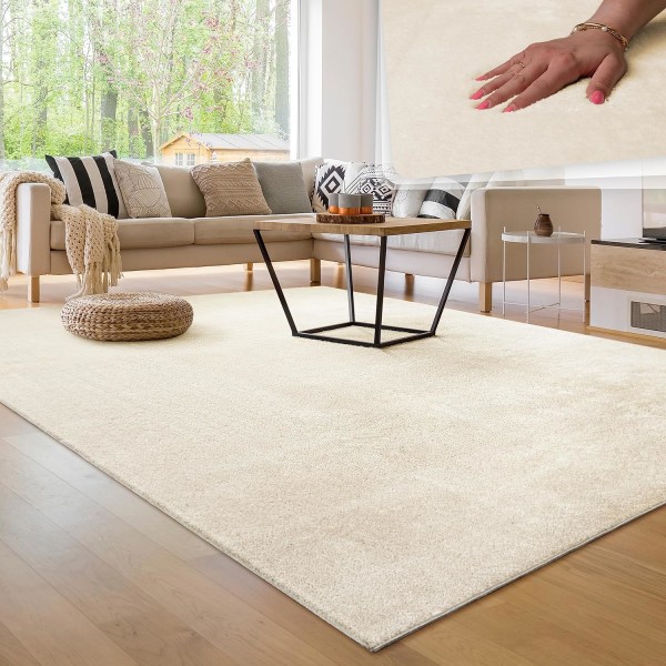 Pehmeä ja pestävä lyhytnukkainen olohuoneen matto, koko: 60x160cm, väri: valkoinen Beige