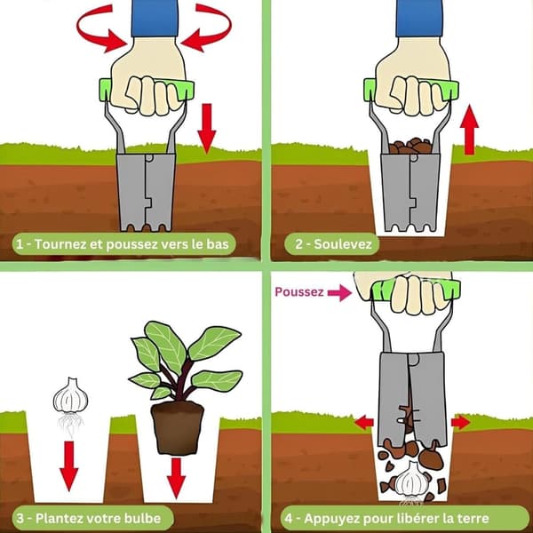Haveplanteomplanter - Løglægger - Havefrøplanteomplanter