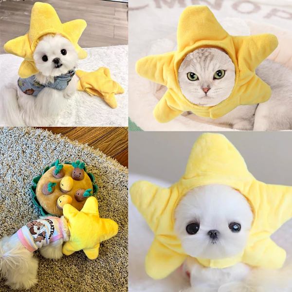 Sjov Kattehat Gul Stjernefisk Små Hunde Kasket Blød Stjerneformet Hvalpehovedbeklædning Halloween Kæledyrs Kostume Varme Hovedtilbehør
