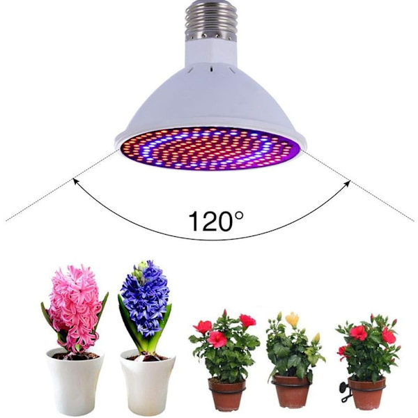 Kasvikasvivalot Kasvivalaistus Kotipuutarhaan Ulkona, 200LED Täyden Spektrin Kasvihuonevalot