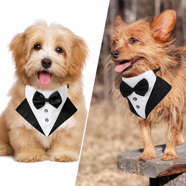 Hunde Smoking Bandana Halsbånd, 1 stk. Justerbar Formel Hund Bryllup Bandana Kæledyr Bryllup Dragt Butterfly Bandana med D-Ring til Små Mellemstore Hunde M