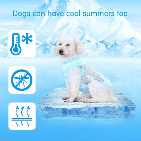 Køle Vest til Hund, Køle Vest til Hunde, Kølig Sommer Hunde Frakke, Kæledyr Køle Vest Egnet til Små til Mellemstore Hunde og Hvalpe (X-Large) XL