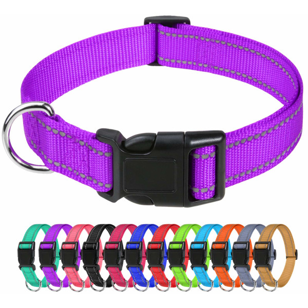 Reflekterande hundhalsband i nylon , justerbart klassiskt hundhalsband med snabbspänne för medelstora hundar, lila, 2 cm bredd (XS 20-30 cm) Purple XS