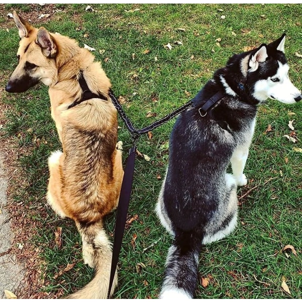 Hundebånd, dobbel bånd for 2 hunder, reflekterende, trening og trening, 360º flokefri