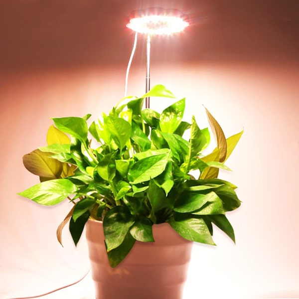 1 st liten LED växtlampa för inomhusväxter Full Spectrum Mini skrivbordsväxtlampa med bas höjdjusterbar med timer dimning