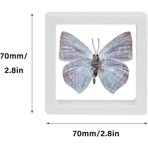 Myntvisningsram, Vit Flytande Ramvisningshållare Står, 20-pack Myntvisningsfodral, 2,8 x 2,8 x 0,8” Silikonmyntram