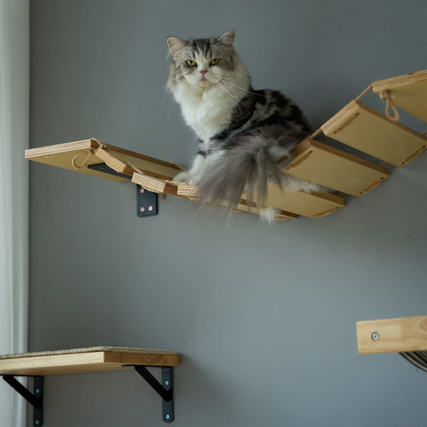 Kattväggbro, 32,5 cm bred katthylla och gör-det-själv-klättersteg för katter, för de flesta kattungar, medelstora och stora katter