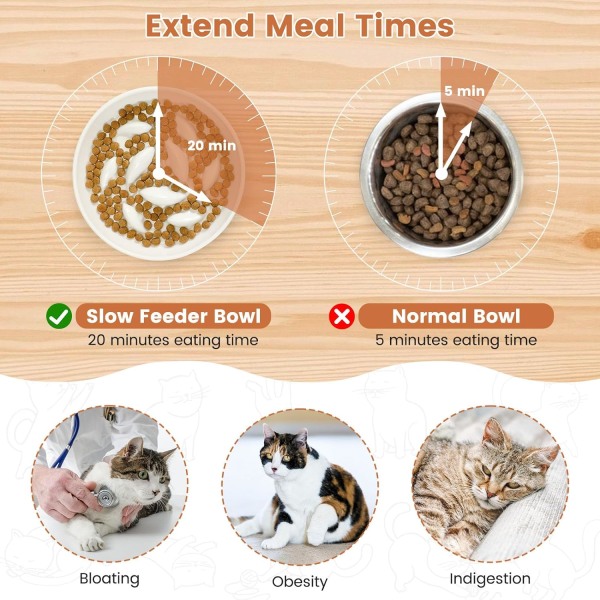 Hidassyöttöinen kissankulho, keraaminen, korotettu reuna roiskesuojattu hitaasti syövä kissankulho märkäruokaa/kuivaruokaa varten, kissan kulho hidas syöttölaite oksentelua ehkäisevälle (valkoinen) White