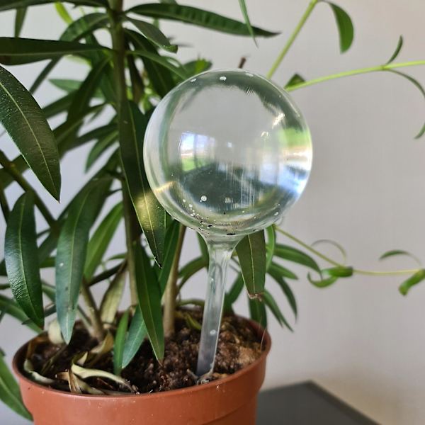 Bevattningskulor - Plast - 8 st