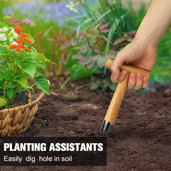 Lökplanterare, det perfekta verktyget för plantering i lökplanteraren
