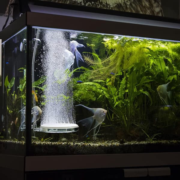 Akvarieluftsten Nano Bubble Stone Kit med kontrollventil Tyst Super Hög CO2 Upplöst Syre Diffusor(100mm)