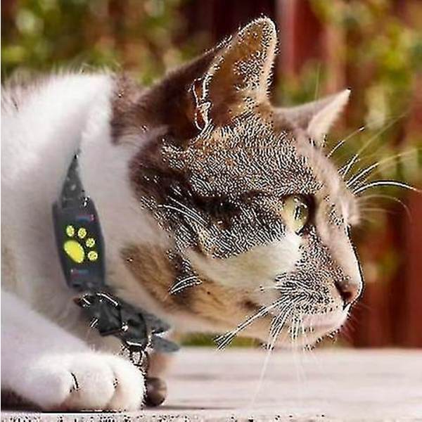 Smart GPS Katte- og Hundehalsbånds Tracker