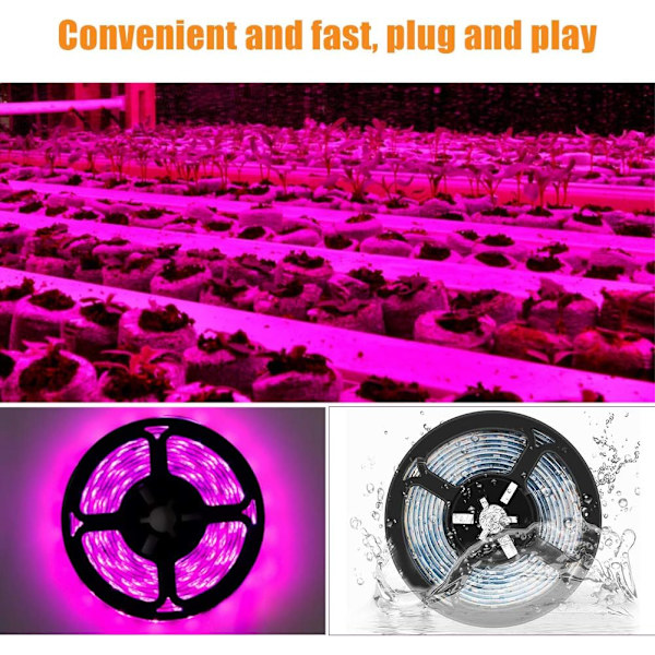 LED-växtbelysningsremsor Vattentät Full Spectrum Inomhusväxter Suckulenter Hydroponics Växthus Trädgårdsbelysning USB(3M)