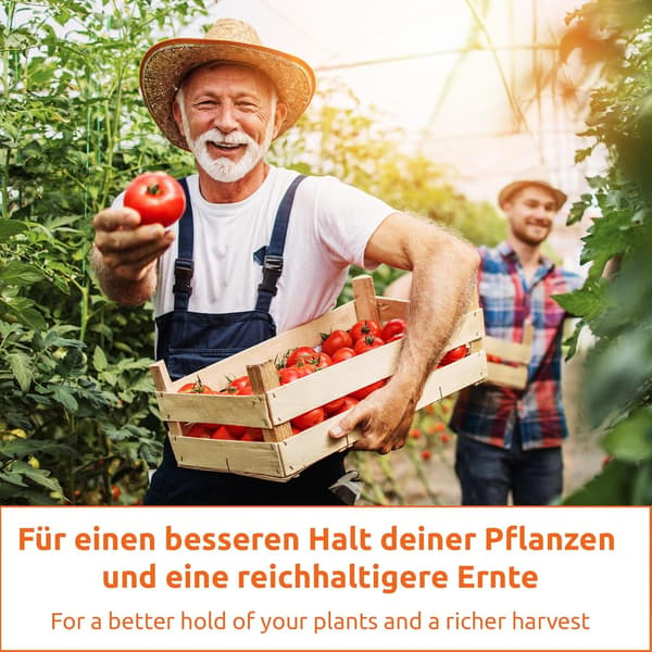 60x plantebindere til tomatplanter, 4cm / 6cm vinstokke, roser