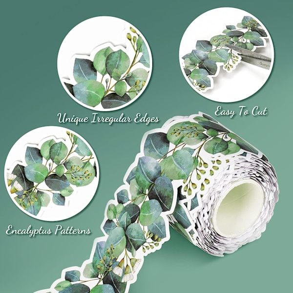 15M Eucalyptus Die-Cut Border Trim Bulletin Board Klassrum Border Trim Eucalyptus Temat Border Klistermärke för Fotovägg Bulletin Boards Skrivbord Display