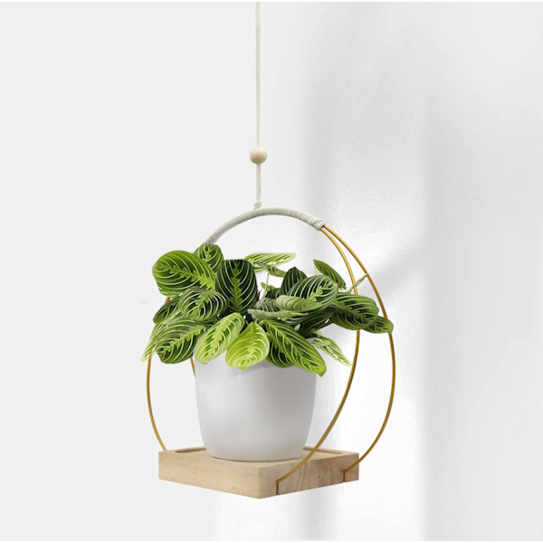 Hängande planter med träbas, Macrame hängande växtkruka, Dekorativ blomkrukahållare, Växt hängande kruka för vägg, fönster, Boho heminredning gold