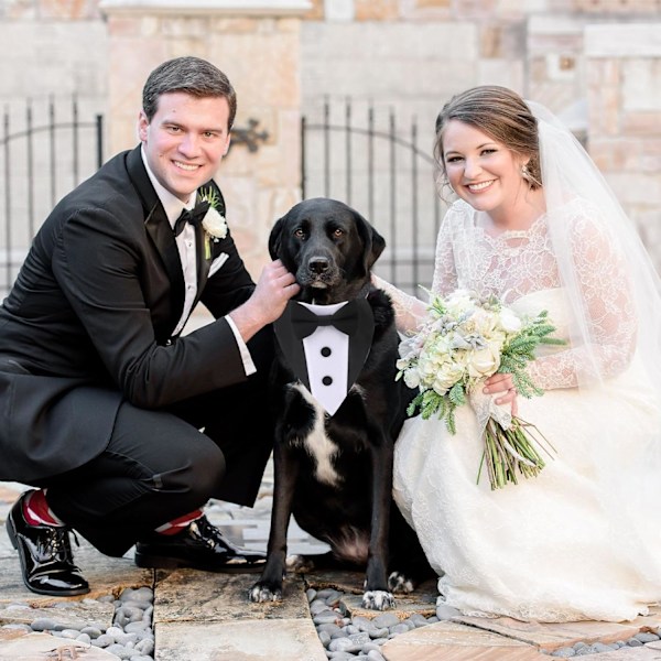 Hundfluga,  Justerbar fluga Hund Smoking Kostym Formell Hundkläder Husdjursfest Tux för Medelstora Hundar Husdjur(L: Hals 36-60 cm) L