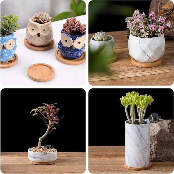 Rund bambubricka för växter, 6 tum, 2-pack, bricka för blomkrukor för moderna keramiska blomkrukor