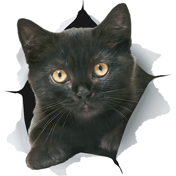 3D Katte Stickers | 2 Pak | Sulten Sort Kat Dekaler til Væggen - Stickers til Soveværelse - Køleskab - Toilet - Bil - Detailpakke, Sort Killing