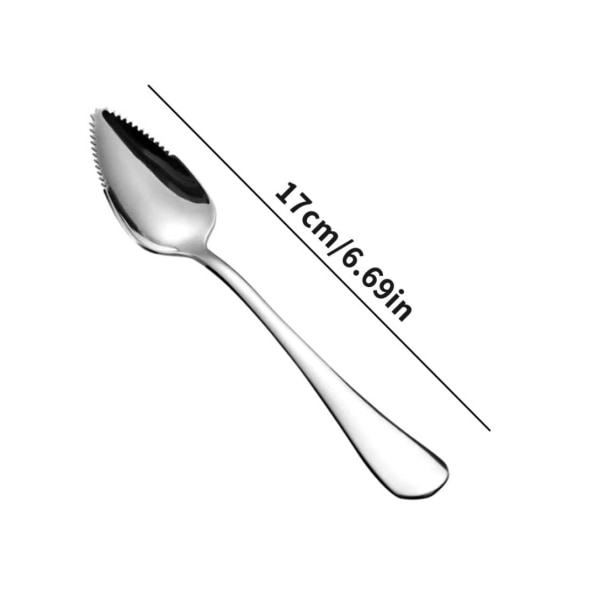 Grapefruit Spoon, 2-Pack, 7 in L, Silver