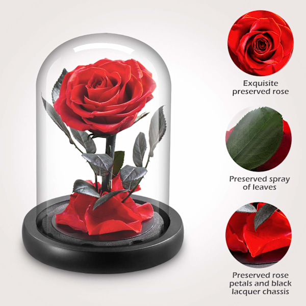 Skønhed og Udyret Rose Kit, Evig Rose i Glas, Romantiske Fødselsdagsgaver til Kæreste Red