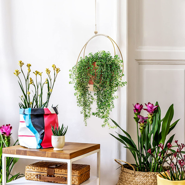 Hängande planter med träbas, Macrame hängande växtkruka, Dekorativ blomkrukahållare, Växt hängande kruka för vägg, fönster, Boho heminredning gold
