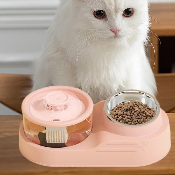 Katt Vattendispenser, Automatisk Kattmatare, Kattmatningsstation | Djurfoder och Vattenförsörjning för Hantering (Rosa)
