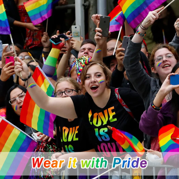 2 Pack Pride Rainbow Face Paint, Crayon Stick ja Gay Pride Rainbow -lippuväri kasvovartalolle Pride-päivän juhliin