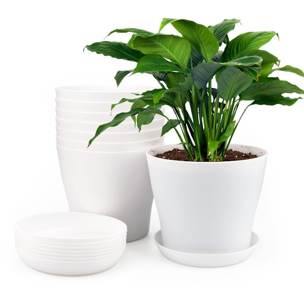 17 cm Plastblomkrukor för Inomhus/Utomhusbruk med Fat, Lämpliga för Plantor, Kaktusar, Suckulenter, Orkidéer och Örter (Vit)