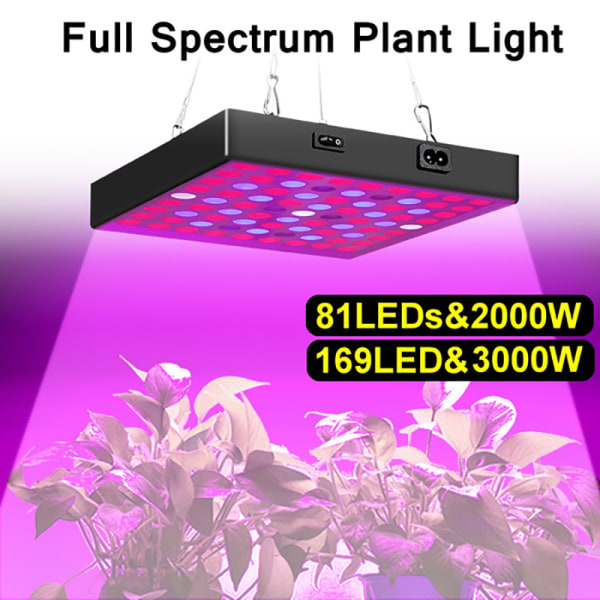 3000W LED Plant Grow Light Full Spectrum LED Justerbar 169-LED 169-LED