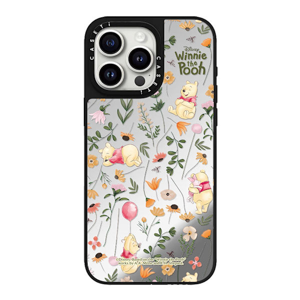 Etui til iPhone 16 Pro Magnetisk Sølv Noz19260