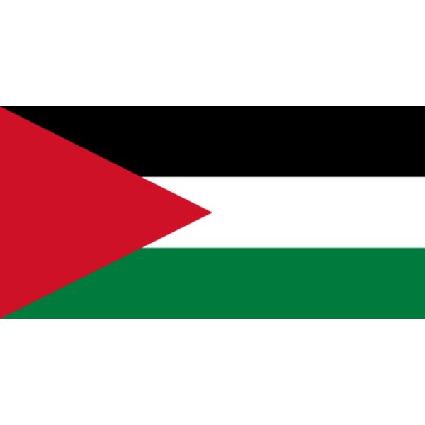 Palestina palestinsk flagg Palestine