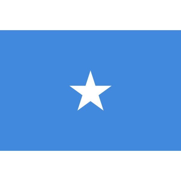 Somalias flagga Vit