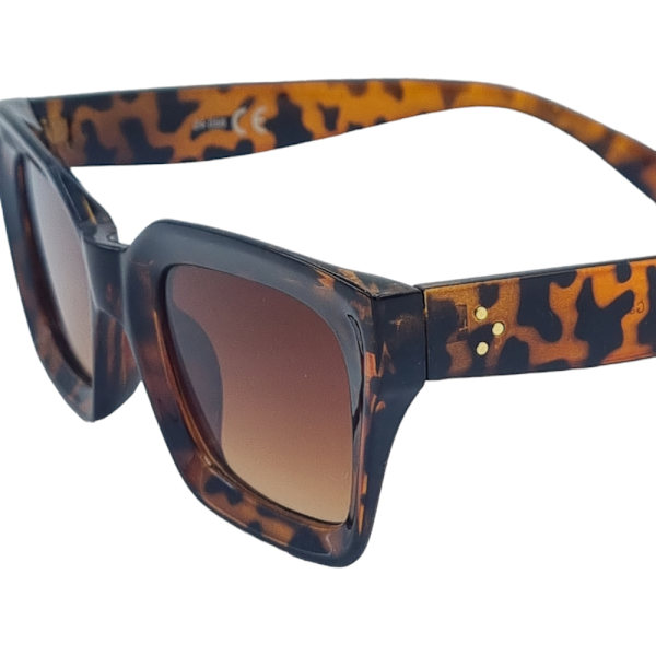RetroRay solbriller Brown