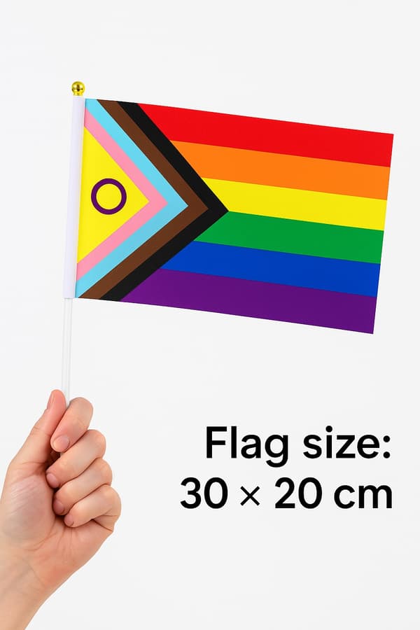 Progress Pride -käsiviirit – 5 kpl