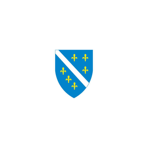 Lippu Bosnia (1992-1998)