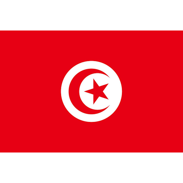 Tunisian lippu