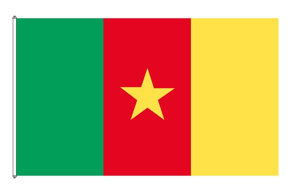Kamerun Flagga Grön