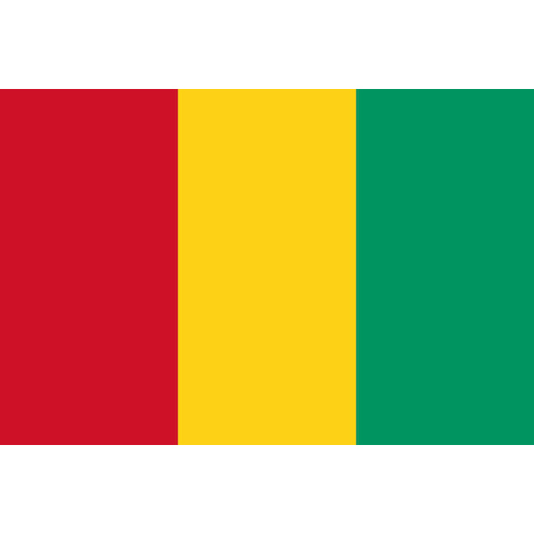 Guinea flagga