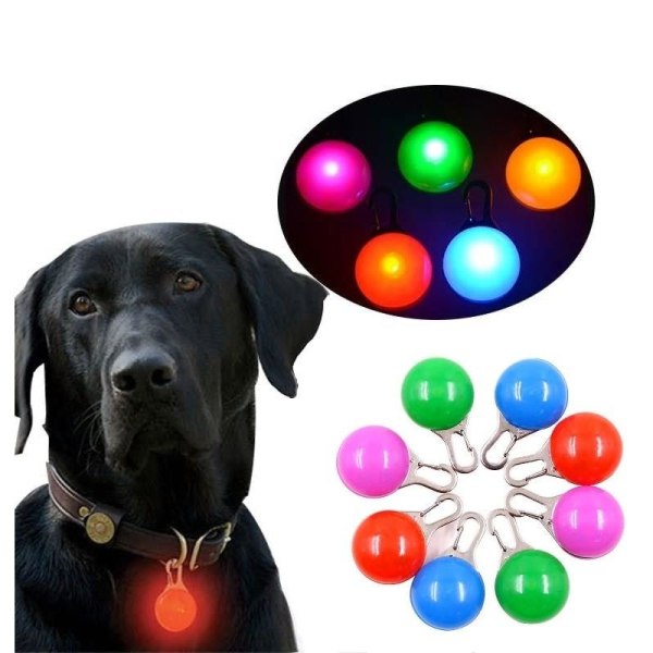 LED -lampe for hunde- og kattehalsbånd Lila